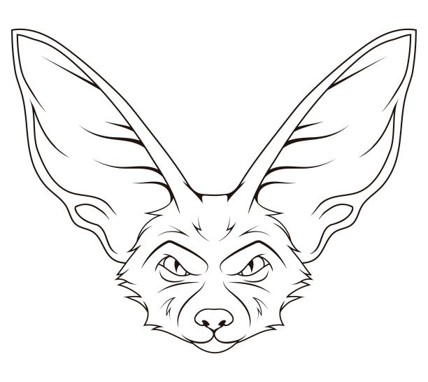 狐狸。矢量插图的素描可爱的动物。一种生活在北非沙漠中的小型狐狸。野生动物。图片下载