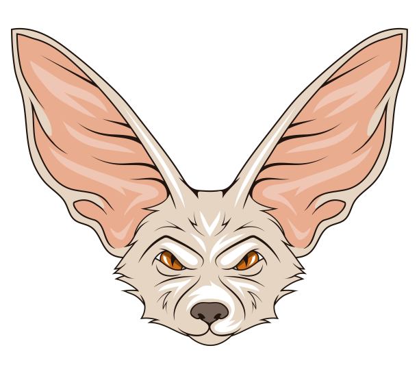 狐狸。矢量插图的一个可爱的动物。一种生活在北非沙漠中的小型狐狸。野生动物。图片下载