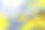 插图风景树叶秋天公园树木与黄色的树叶对着蓝色的天空寓言风金色的叶子艺术油画在画布上印象主义图片下载