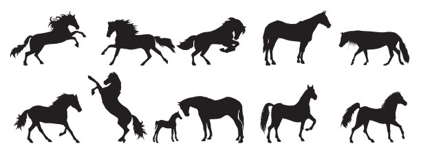 套马剪影图片下载