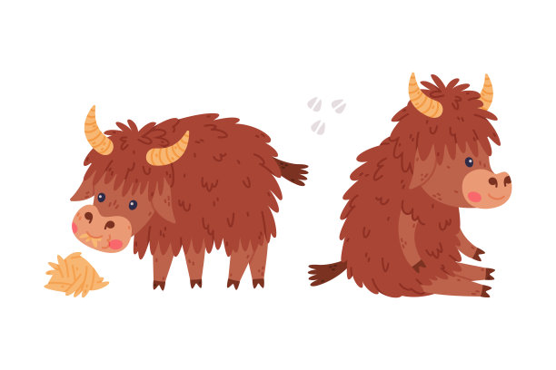 可爱的牦牛人物与浓密的皮毛和角坐和嚼干草矢量集图片下载