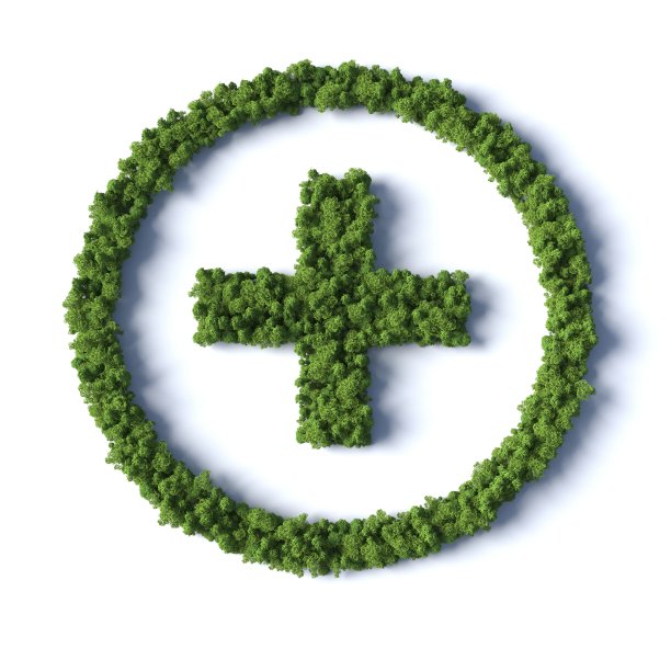 森林医学交叉图片下载