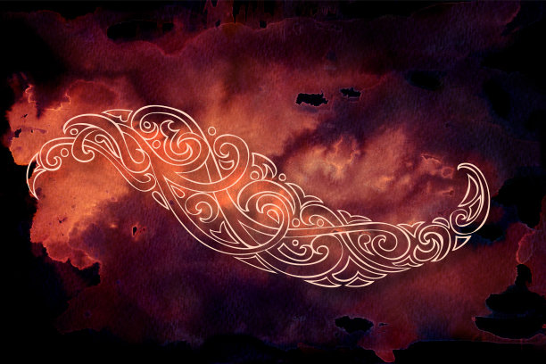 红色的羽毛图片下载