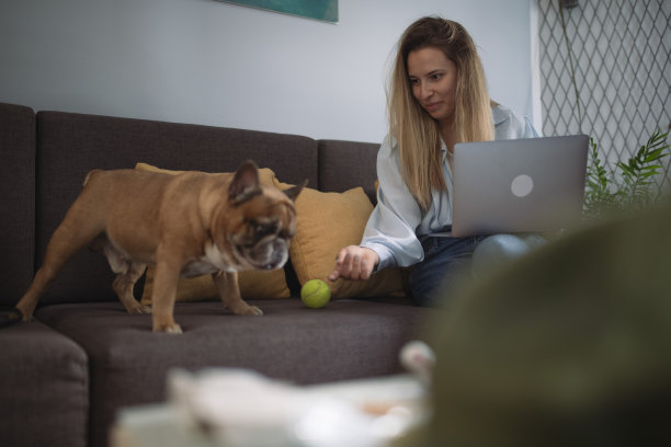 在家办公图片下载