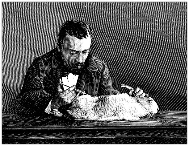 古董插图:动物实验图片下载