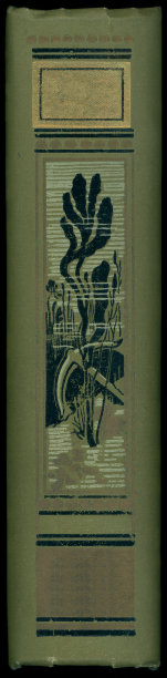 新艺术风格的水下场景- 19世纪图片下载