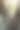 可爱的小男孩的肖像坐在夏天的大古树上。孩子在爬树。小男孩坐在户外的树枝上。活跃的男孩在公园玩耍。图片下载