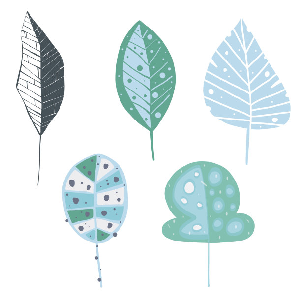 手绘树叶收集图片下载