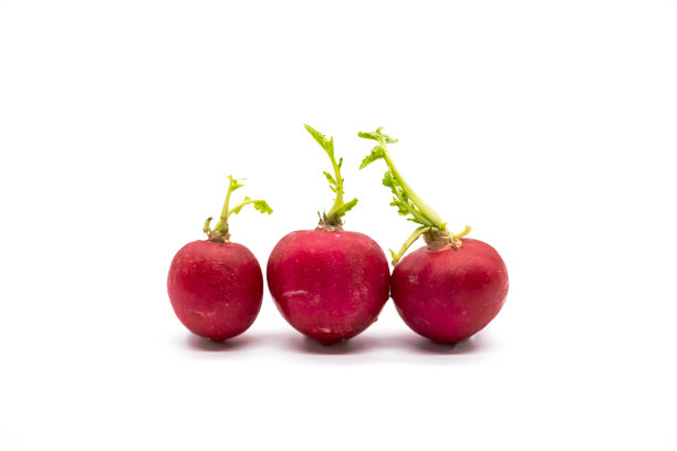 一套新鲜的整个萝卜在白色的背景。图片下载