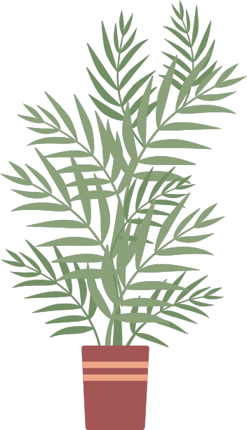 盆栽盆栽棕榈树在家庭阳台或图片下载