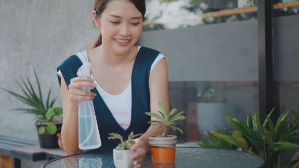 年轻女子捧着花盆小树花在手上，微笑着笑着照顾图片下载