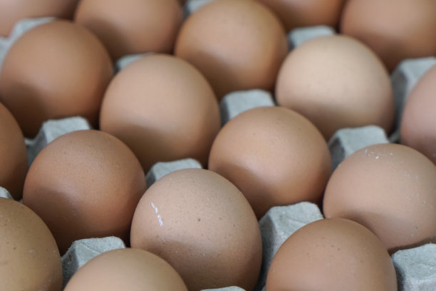 一盘鸡蛋图片下载