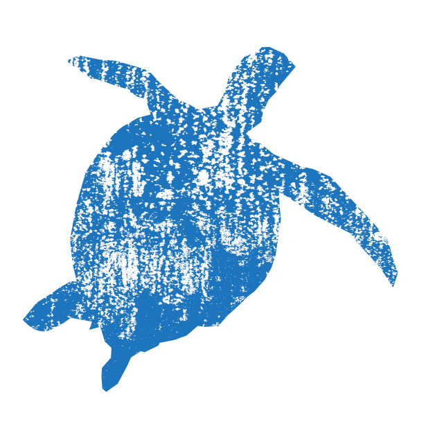 海龟抽象与垃圾纹理背景图片下载