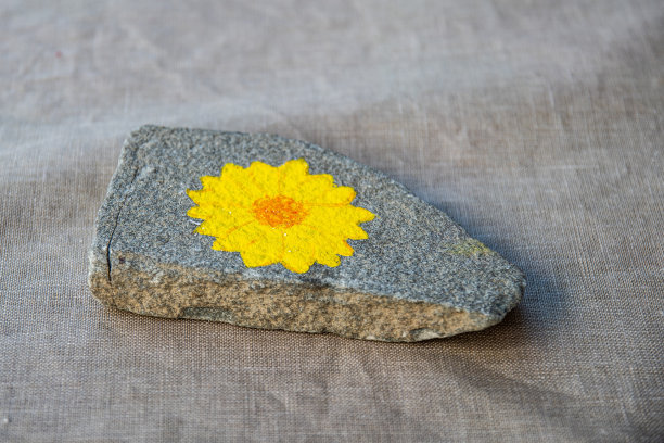 石头与拉丝花卉设计图片下载