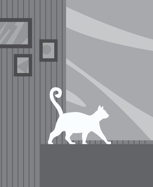 白猫在家具上走图片下载