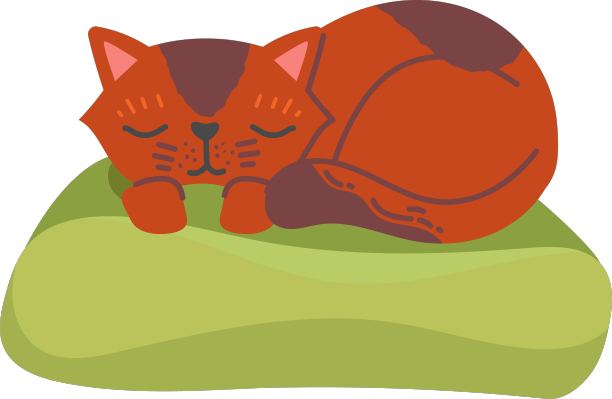 猫在教练图片下载