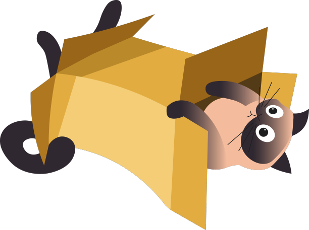 宠物或家养动物暹罗猫玩耍图片下载