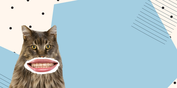 当代艺术拼贴。有趣的形象猫与人的嘴元素孤立在蓝色背景图片下载
