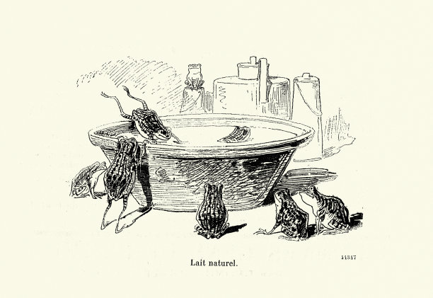 经典的法国卡通，青蛙在一碗牛奶里游泳，自然牛奶，自然牛奶，维多利亚式幽默图片下载