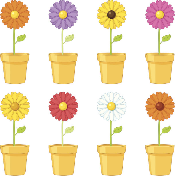 弹出的雏菊-包括。jpeg图片下载