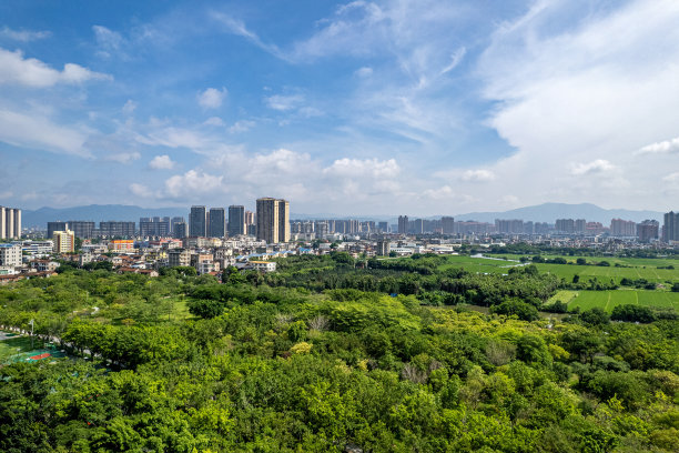 在一个阳光明媚的日子里，一座位于绿色森林边缘的城市图片下载