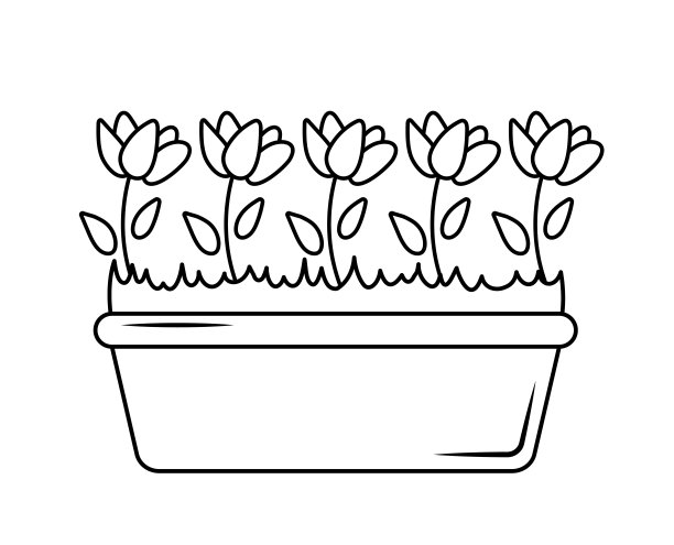 轮廓玫瑰在长容器或花盆孤立在白色背景。图片下载