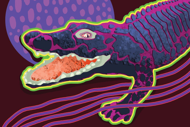 概念鳄鱼图片下载