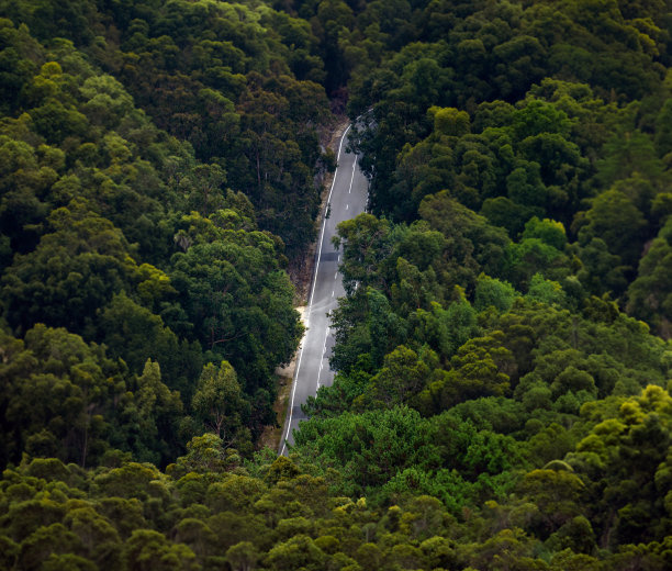 从直升机或无人机上鸟瞰一条笔直的山路，周围是郁郁葱葱的绿树，被傍晚的阳光照亮图片下载