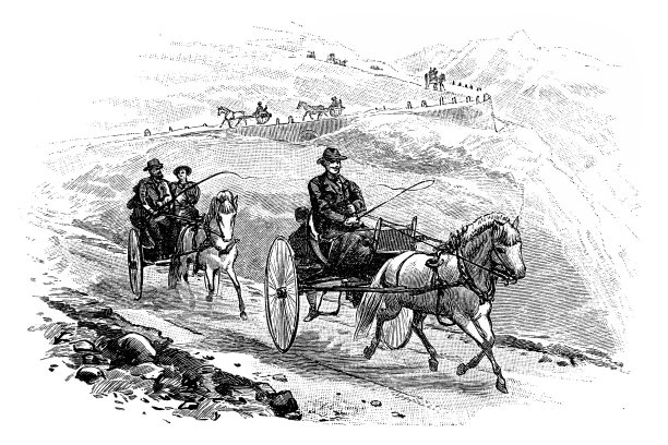 马马车骑图片下载