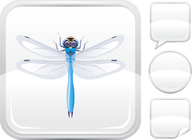 蜻蜓图标上的银色按钮图片下载
