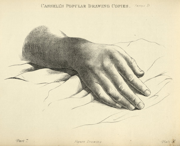 手绘人类的手，手指，手腕，维多利亚时代的艺术人物画复制十九世纪图片下载