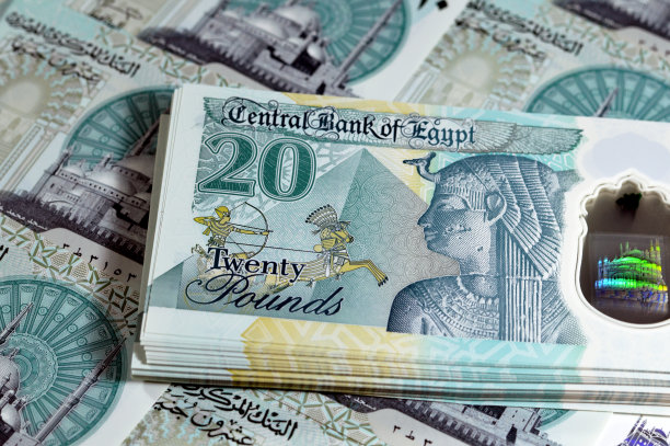 埃及20镑纸币：穆罕默德·阿里清真寺、埃及艳后图片下载