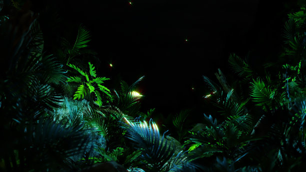 丛林的生活方式图片下载