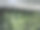 建筑内部的墙面垂直绿化。使用内置在花盆中的滴灌软管进行灌溉分配。吸收剂威克斯。有顶灯的商店橱窗，坡道图片下载