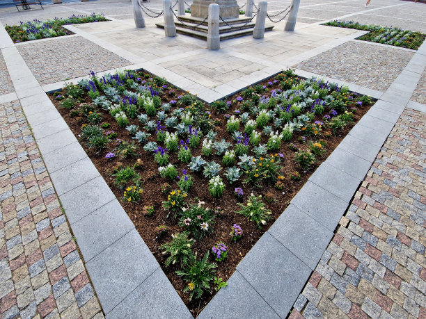 早上，在酒吧桌子旁边的广场上，从晚上开始就没有清理过的空杯子。纪念碑附近盛开的花坛图片下载