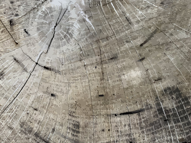 木材树切片-垃圾纹理。黑色灰尘Scratchy Pattern。抽象的背景。矢量设计作品。变形的效果。裂缝。图片下载