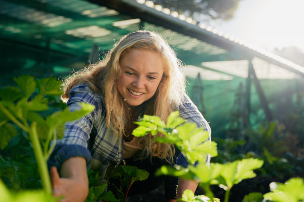年轻的白人妇女微笑着低头在园艺中心做园艺图片下载