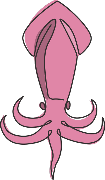 单线连续画可爱的鱿鱼图片下载