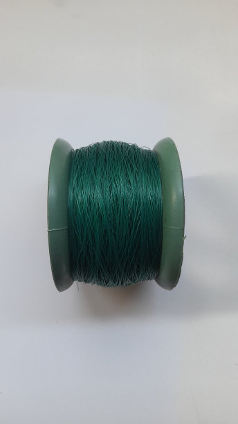 在白色背景上的肯努尔线程的顶视图图片下载