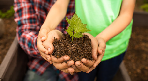 父亲和孩子手里拿着植物图片下载