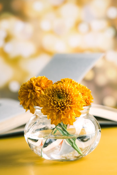 静物画图片下载