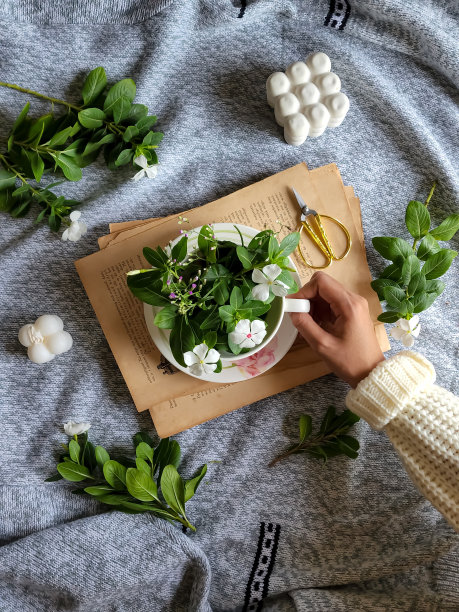 静物画图片下载