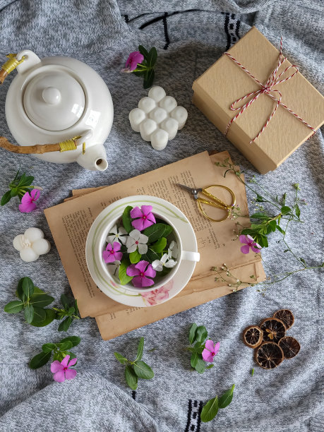 静物画图片下载