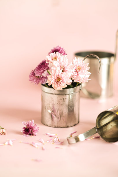 静物画图片下载