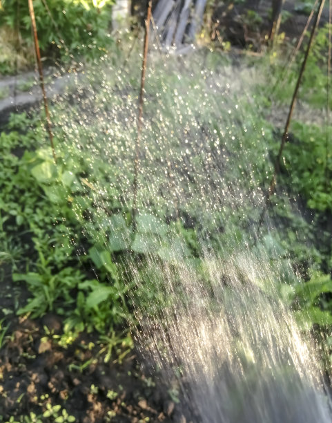 洒水器的水滴洒在花园上。在阳光的照耀下，美丽的水珠从洒水器上落下。给城市浇水——从水管里喷出来的水——喷雾器。图片下载