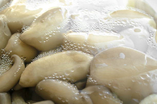 包装里有平菇。胶卷下面有很多衣架。图片下载