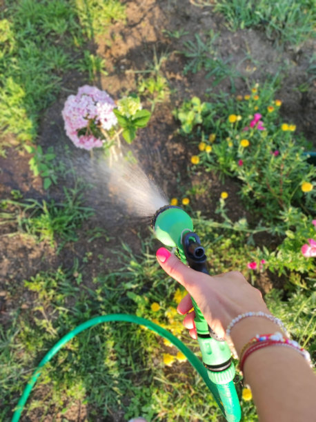 浇灌花园图片下载