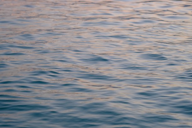 清澈的水面，蓝色的瓷砖游泳池。热带泳池设计。图片下载