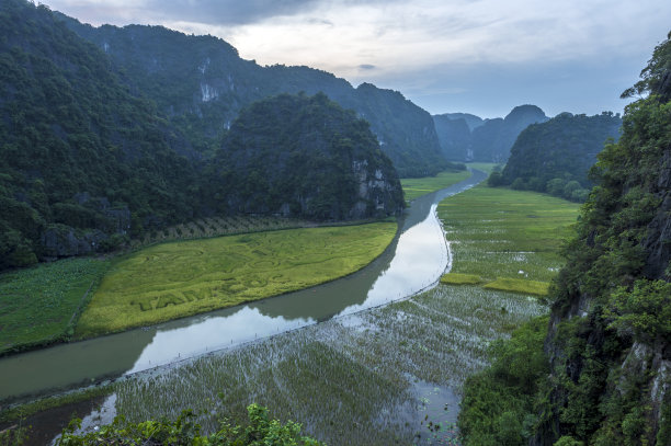 越南宁平的稻田和河流图片下载