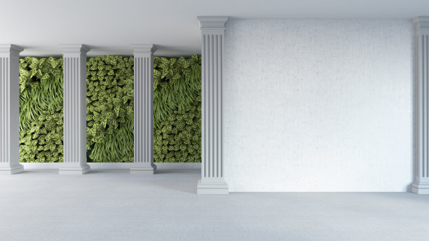 空的白色墙壁，柱子和垂直的花园图片下载